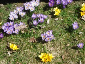 DSC00880