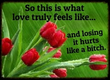  photo 9c3d01eb-4b90-415f-ac40-950ccabb61ad.jpg