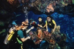 Photo Credit - Disney