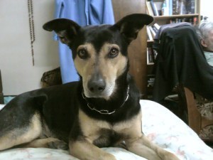 affronted Titch
