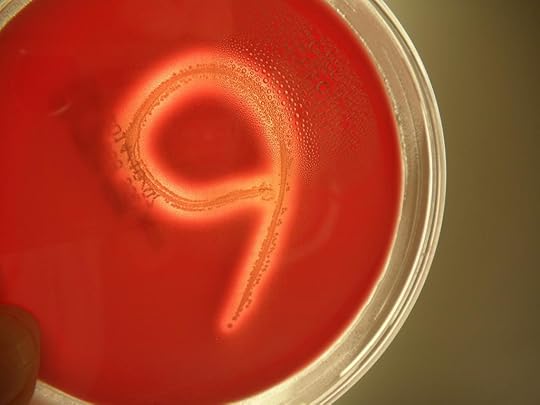 ByZUJMAIEAAvL_2.jpg-large