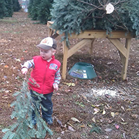 Christmas Trees for Life