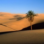 sahara_desert