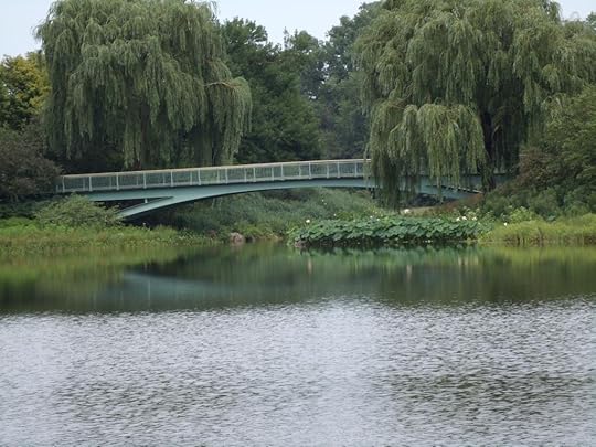 Willows on bridge photo GEDC0440_zps72c1ebab.jpg