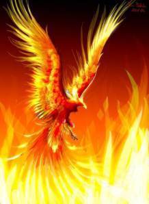 phoenix hdwallpapersbackgrounds.com