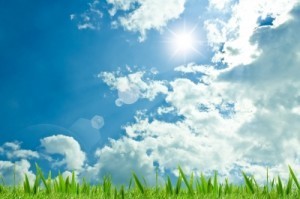 TheGrasswithBlueSkybyKangshutters