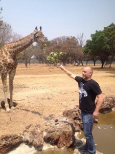 Feed the giraffe