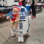 Tristan the Teddy Bear meets the Cosplayer