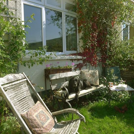 The front garden bench, September.