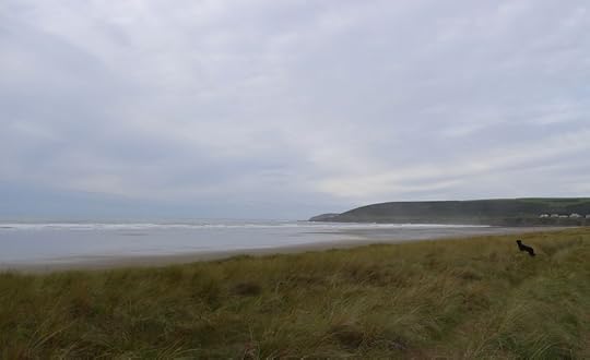 On the north Devon coast, reflecting once again. I am a Dog who takes life seriously.