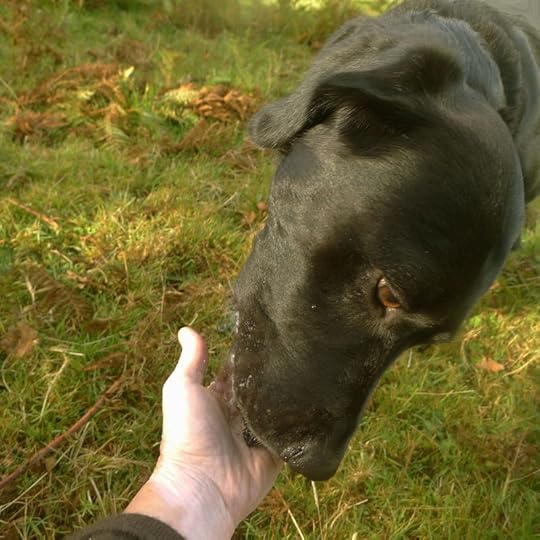 'Good girl,' I tell her, and then I snarfle those berries down.