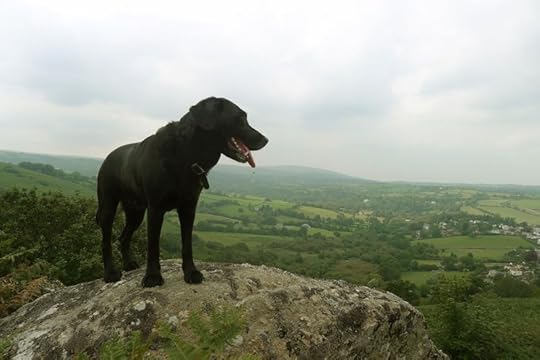 Looking over the village from the top of our hill.