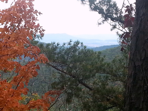 view from long run road.jpg2
