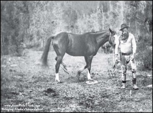 Jack Dalton leads his horse along his successful toll road trail during the late 1890s. Note: The horse is wearing snowshoes!