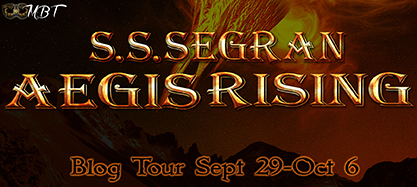 Aegis Banner