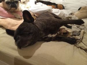 Lulu - a little stiff.