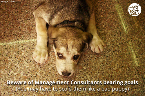 SBQ-management-consultant-bearing-goals