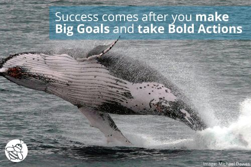 SBQ-Success-After-Big-Goals