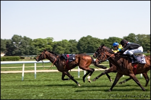  photo Steeplechase2_zps2d04a9ee.jpg