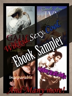 WSC ebook sampler small copy