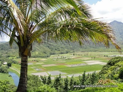 Hanalei Valley Lookout in Kauai, Hawaii