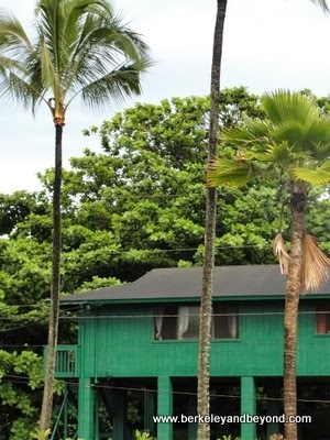 house on stilts in Hanalei, Kauai, Hawaii