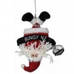 bungy_santa1-150x150