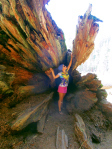 tree32