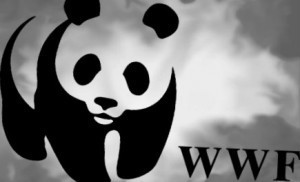 World-Wildlife-Fund