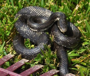 539362312_2d200e8459_z