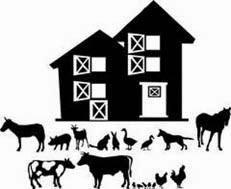 World Farm Animal Day