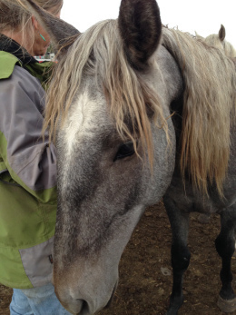 This suave dude reminds me of Robert Plant