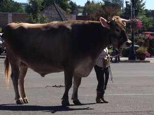 Look at this big guy!