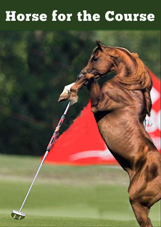 Horse for the Course