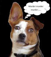 murder-murder
