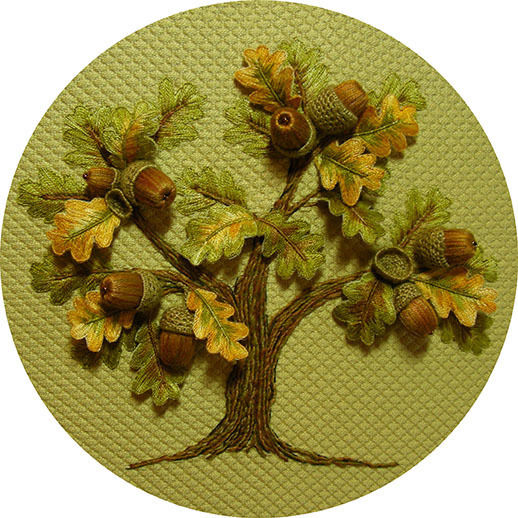 blog-acorn-tree