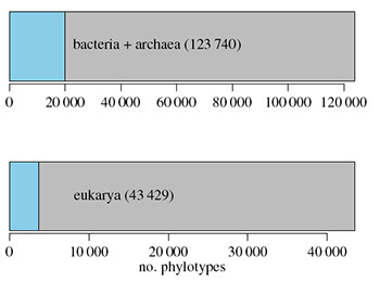 Diversity. Blue: known phylotypes (similar to species). Gray: unknown. Ramirez et al 2014 