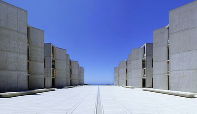 Salk-blog