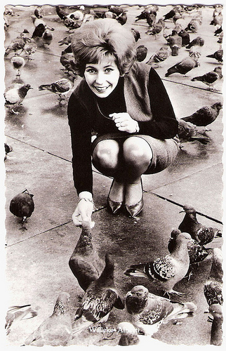 Willeke Alberti