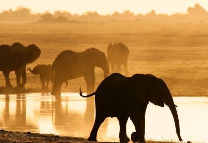 Photograph by Prince Eleazer. Source National Geographic.