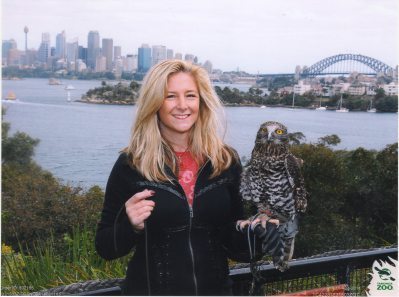 Owl encounter - Australia