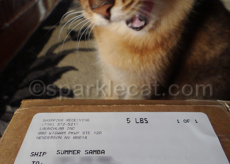 I hear I will be getting MORE packages addressed to me in the future