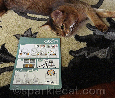 I CAN read well, honest!