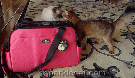 Nope, she does not want to come with us!