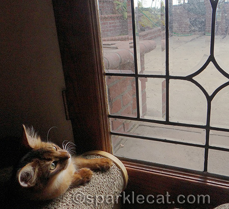 It's like having a whole new world!