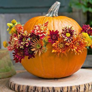 elegant_pumpkin_decoration