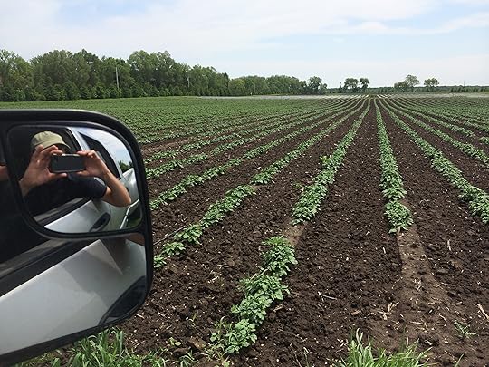 First, get your ducks in a row. Next, your taters.