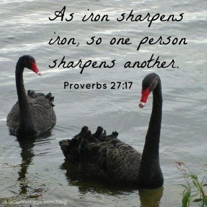 Your 50 Favorite Proverbs on Pinterest | Liz Curtis Higgs