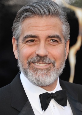 silver fox.jpg