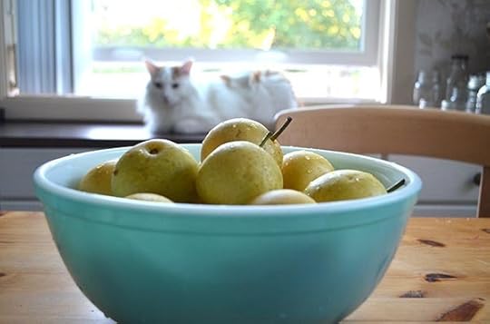 fresh-asian-pears